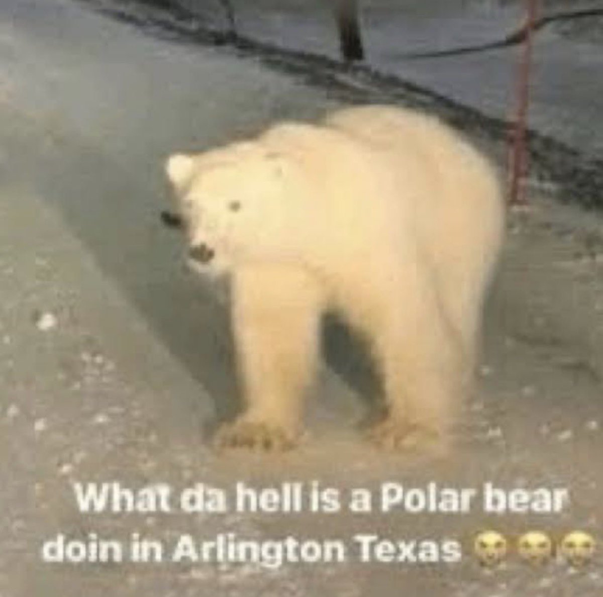 hanni singh (lawyer) tweet media