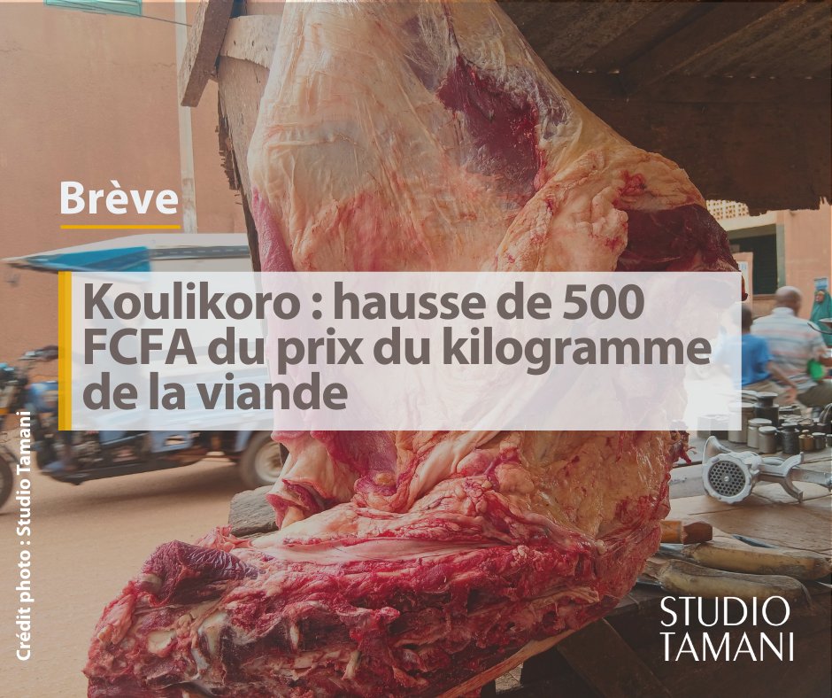 StudioTamani's tweet image. 📖 À #Koulikoro, le kilogramme de #Viande hachée est passé de 3 000 à 3 500 FCFA, tandis que la viande filet est passée de 3 500 à 4 000 FCFA.

𝑷𝒐𝒖𝒓 𝒄𝒐𝒏𝒏𝒂𝒊̂𝒕𝒓𝒆 𝒍𝒆 𝒎𝒐𝒕𝒊𝒇, 𝒄𝒍𝒊𝒒𝒖𝒆𝒛 𝒔𝒖𝒓 𝒄𝒆 𝒍𝒊𝒆𝒏 👉 shorturl.at/1h04d