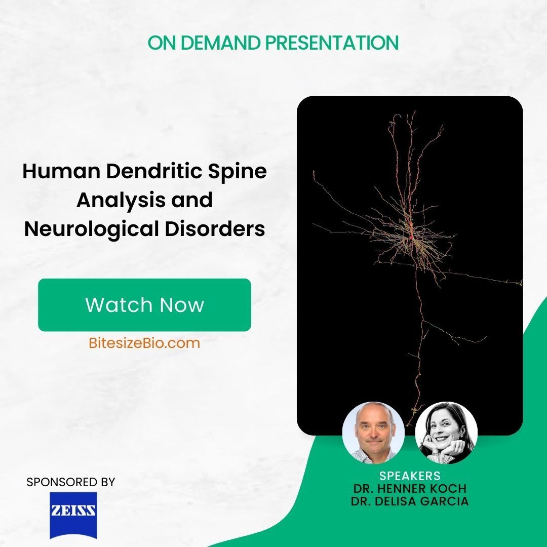 Bitesize Bio tweet media