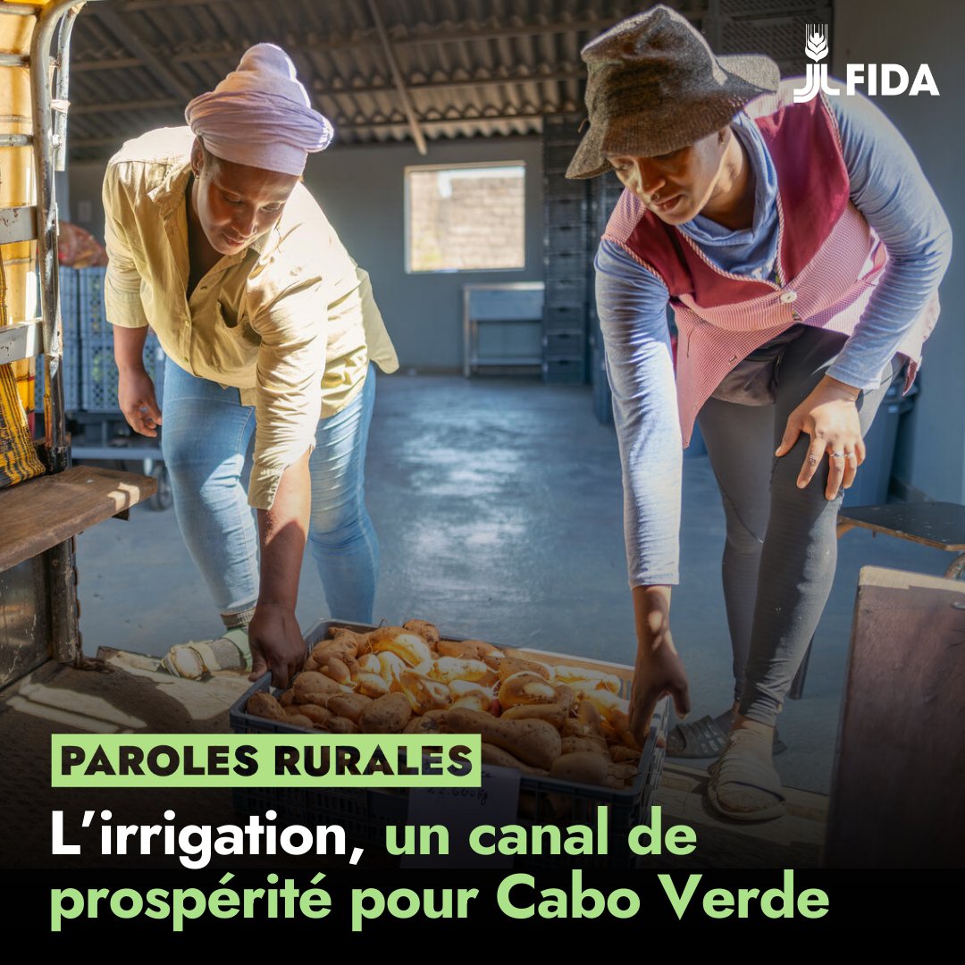 Fonds international de développement agricole tweet media