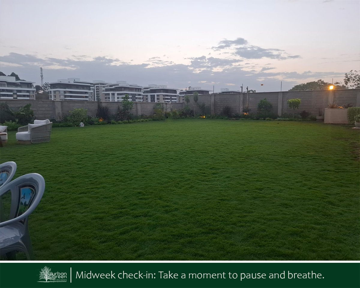 uglkenya's tweet photo. Midweek check-in: take a moment to pause and breathe.
Sometimes stepping away from the rush and reconnecting with calm surroundings is exactly what we need to regain clarity.
Take a short break today, youโve earned it.
#MidweekEnergy
#LandscapingDesign
#LandscapeArchitecture https://t.co/Ksl4wYye8W