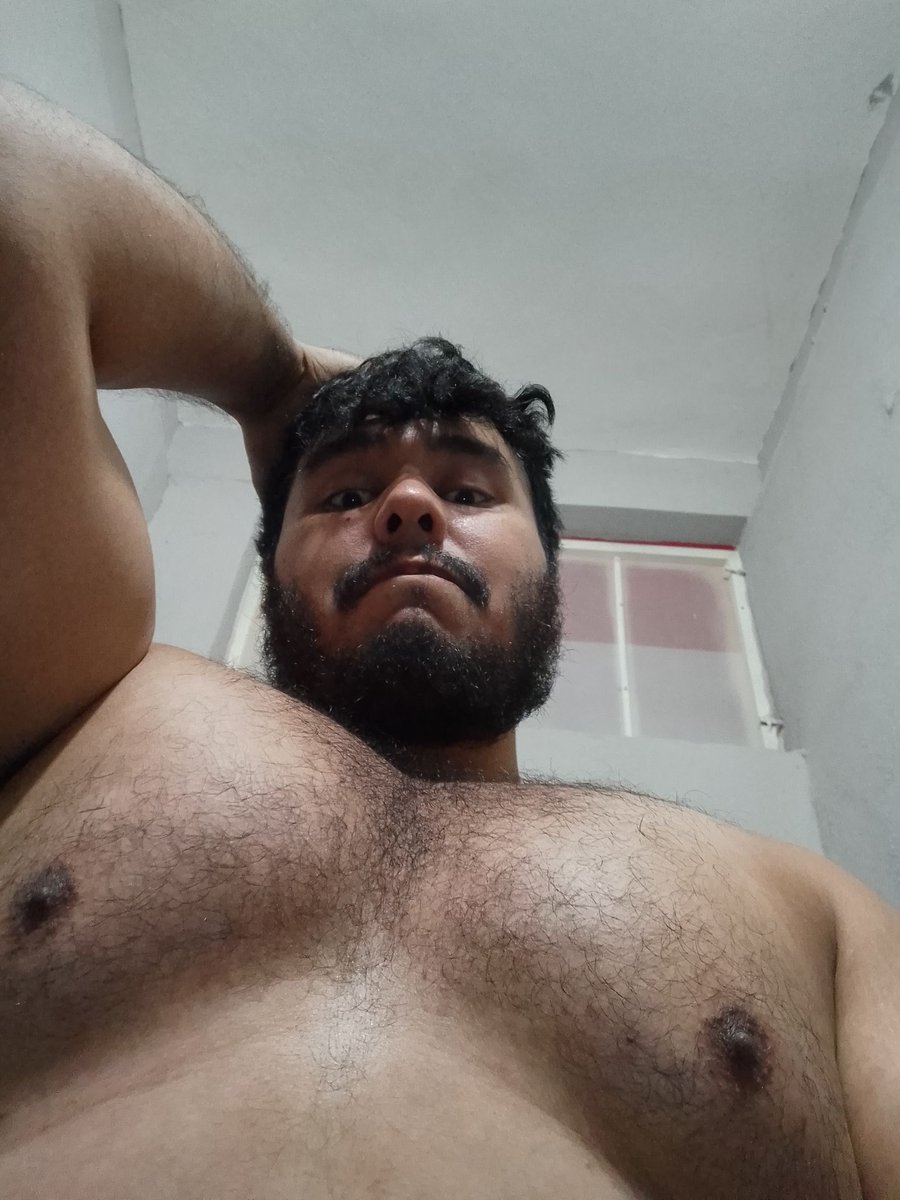 Keiu the bear tweet media
