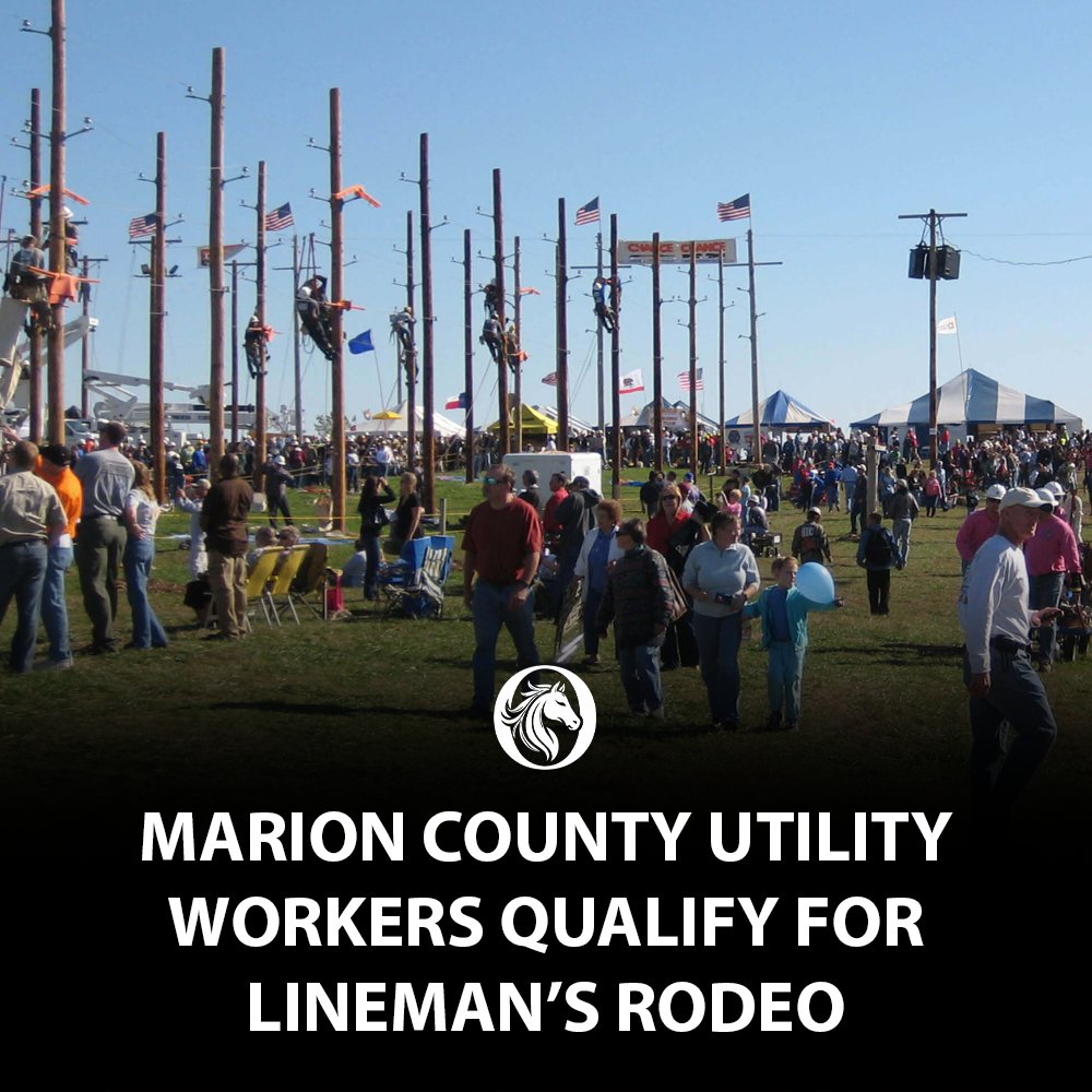 Ocala News Daily tweet media