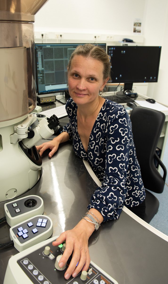 Protochips tweet media