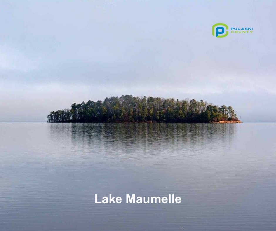 Pulaski County, AR tweet media