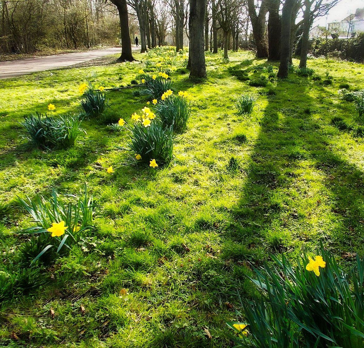 Terry Tyler tweet media