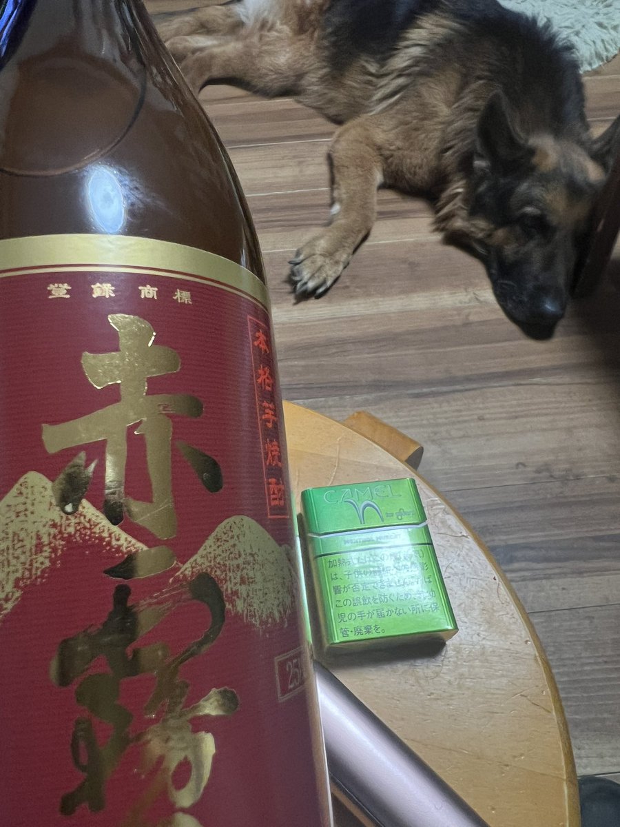 佐々木拓也 tweet media