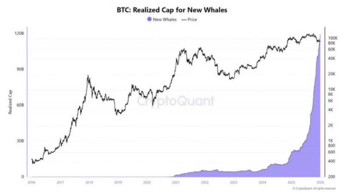 randgroup's tweet photo. $BTC created more new whale wallets in 6 months than the previous 3 years combined.

Smart money isn't waiting for your bottom signal. https://t.co/NELKvHHZlq