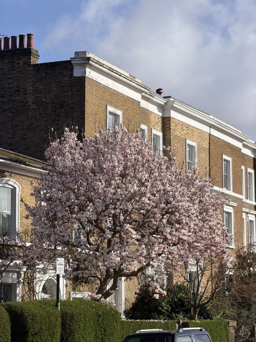 Jade | Encode Club tweet media