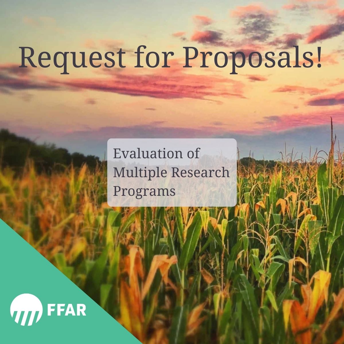 Foundation for Food & Agriculture Research (FFAR) tweet media