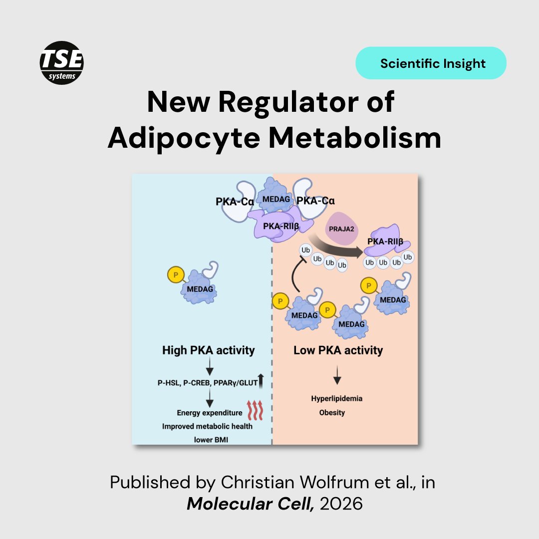 TSE Systems tweet media