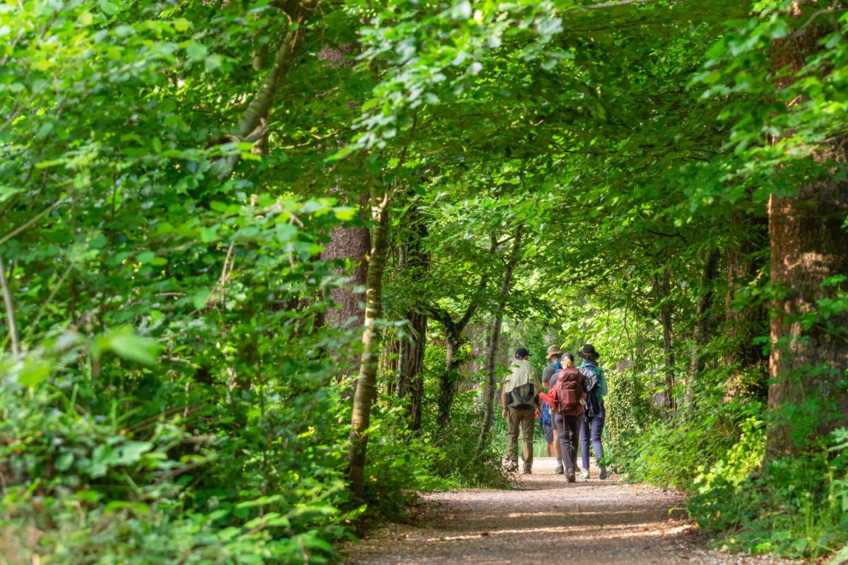 AlertCops tweet media