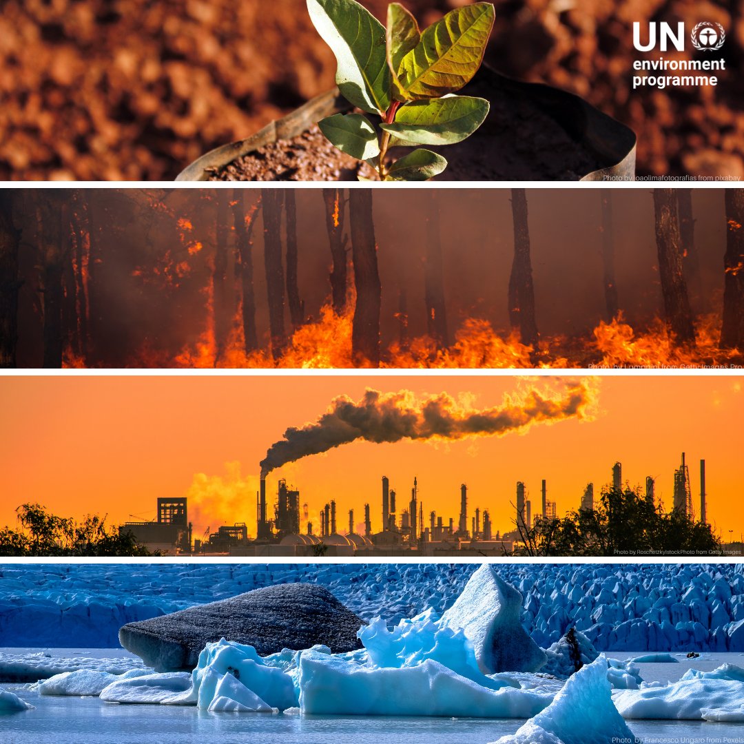 UN Environment Programme tweet media