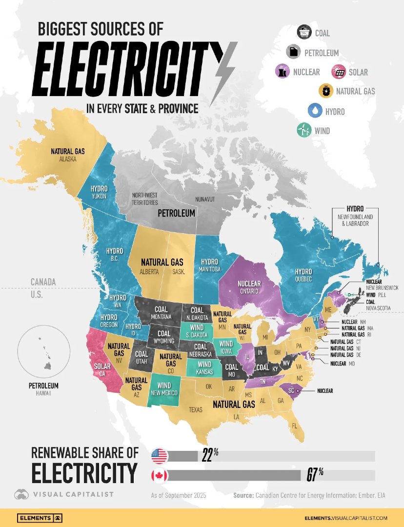 Visual Capitalist tweet media
