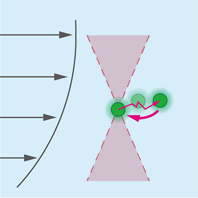 Physical Review Fluids tweet media