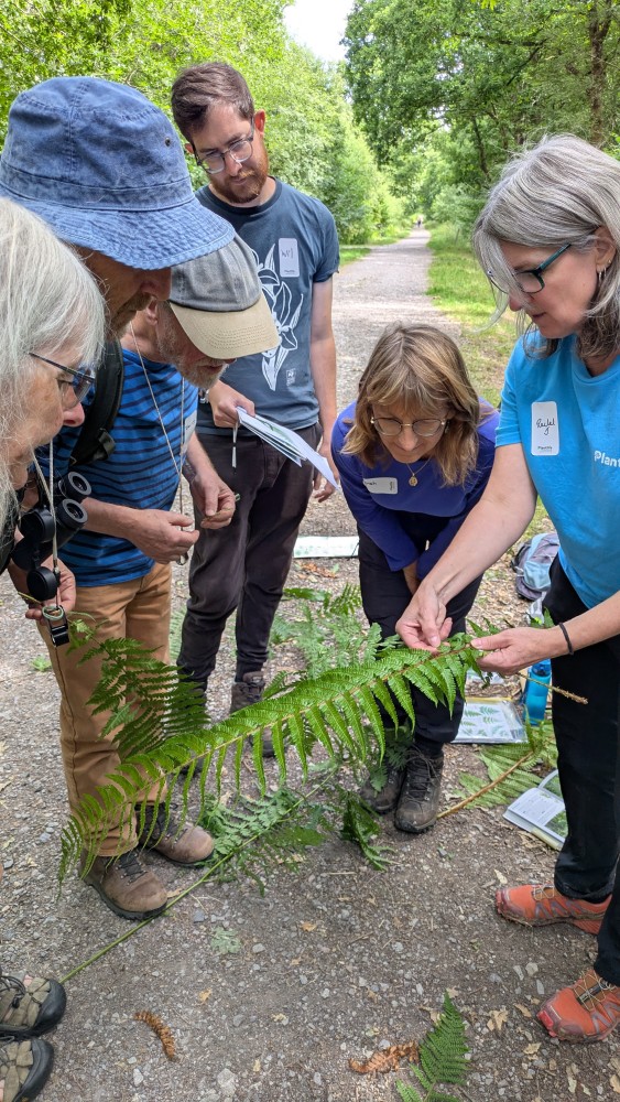 National Plant Monitoring Scheme tweet media