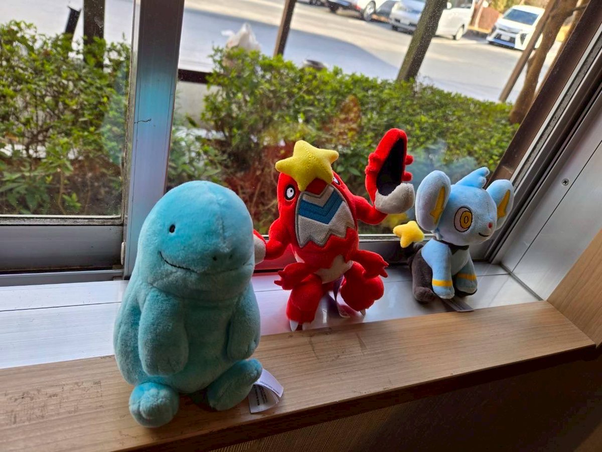 AoyamaPocketSociety【青山学院大学ポケモン愛好会】 tweet media