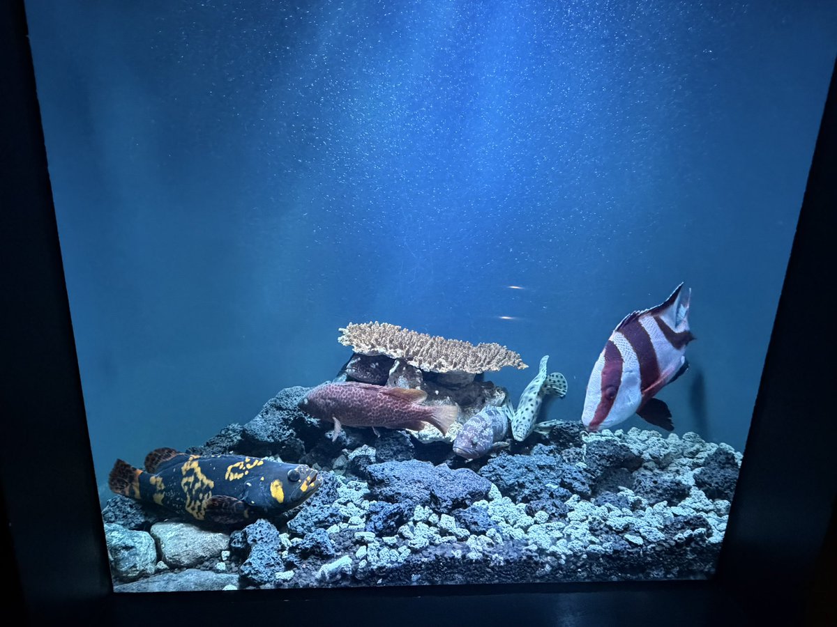 いちい tweet media