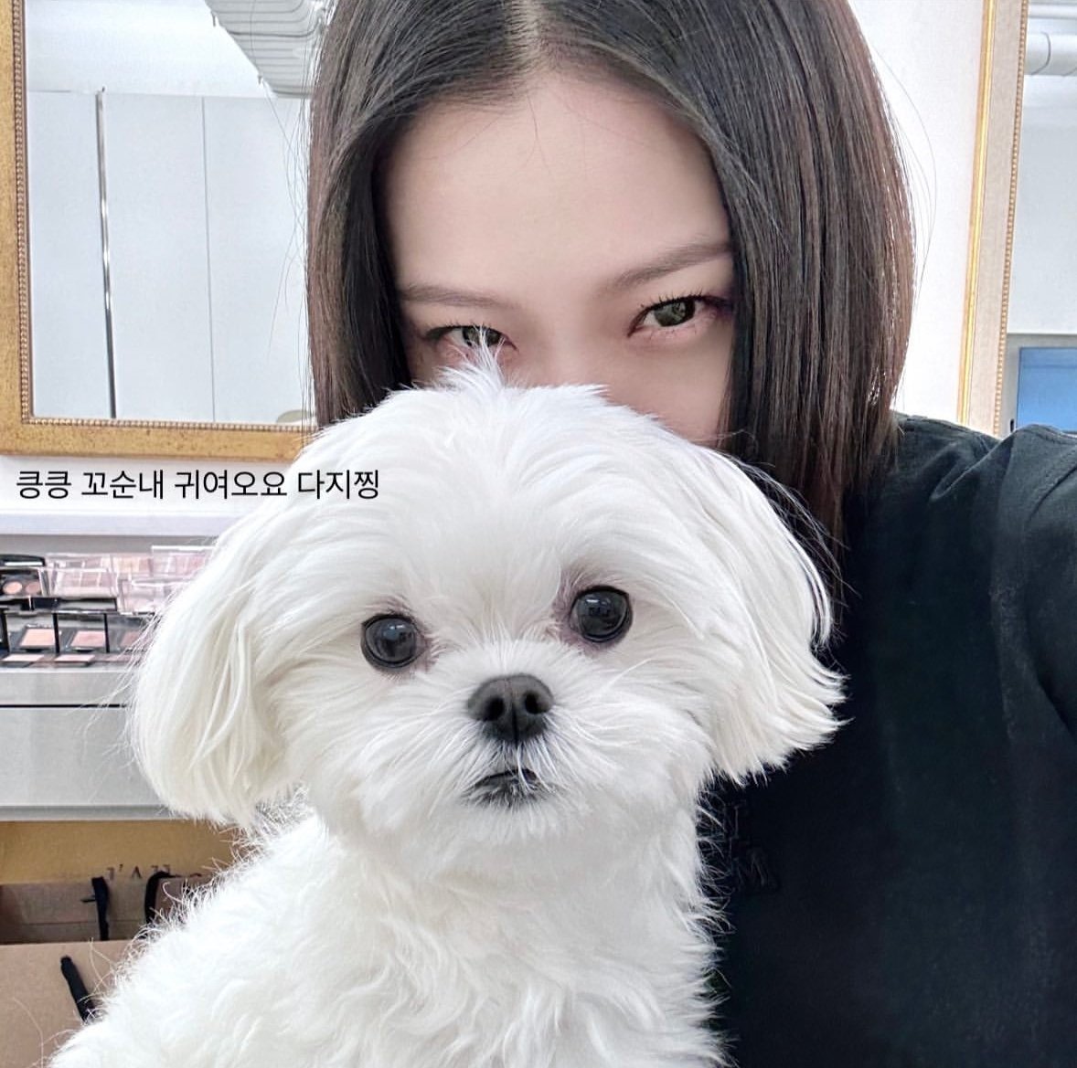 민시 tweet media