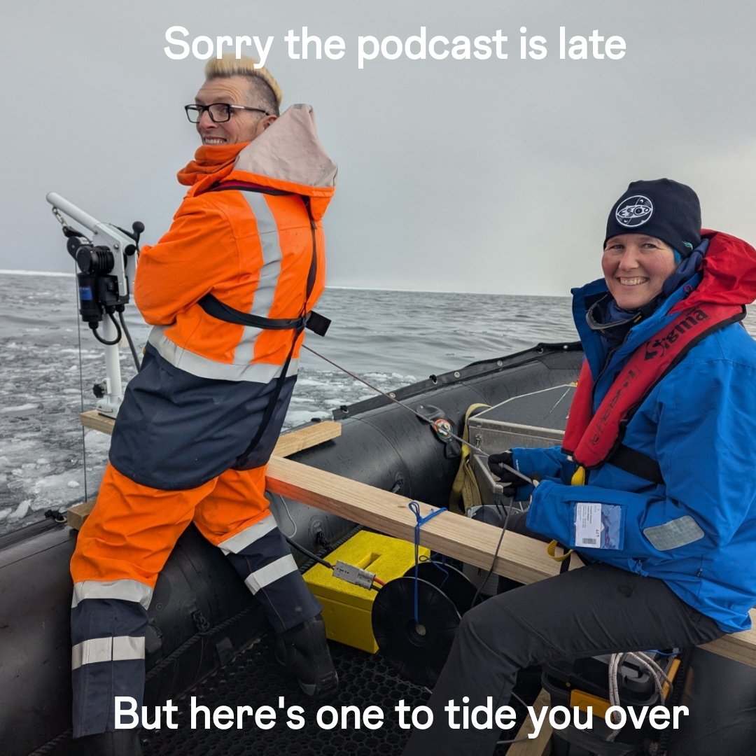 The Deep-Sea Podcast tweet media