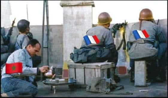 Papillons 85 tweet media