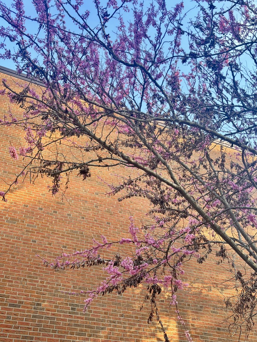 CHMuseums tweet media