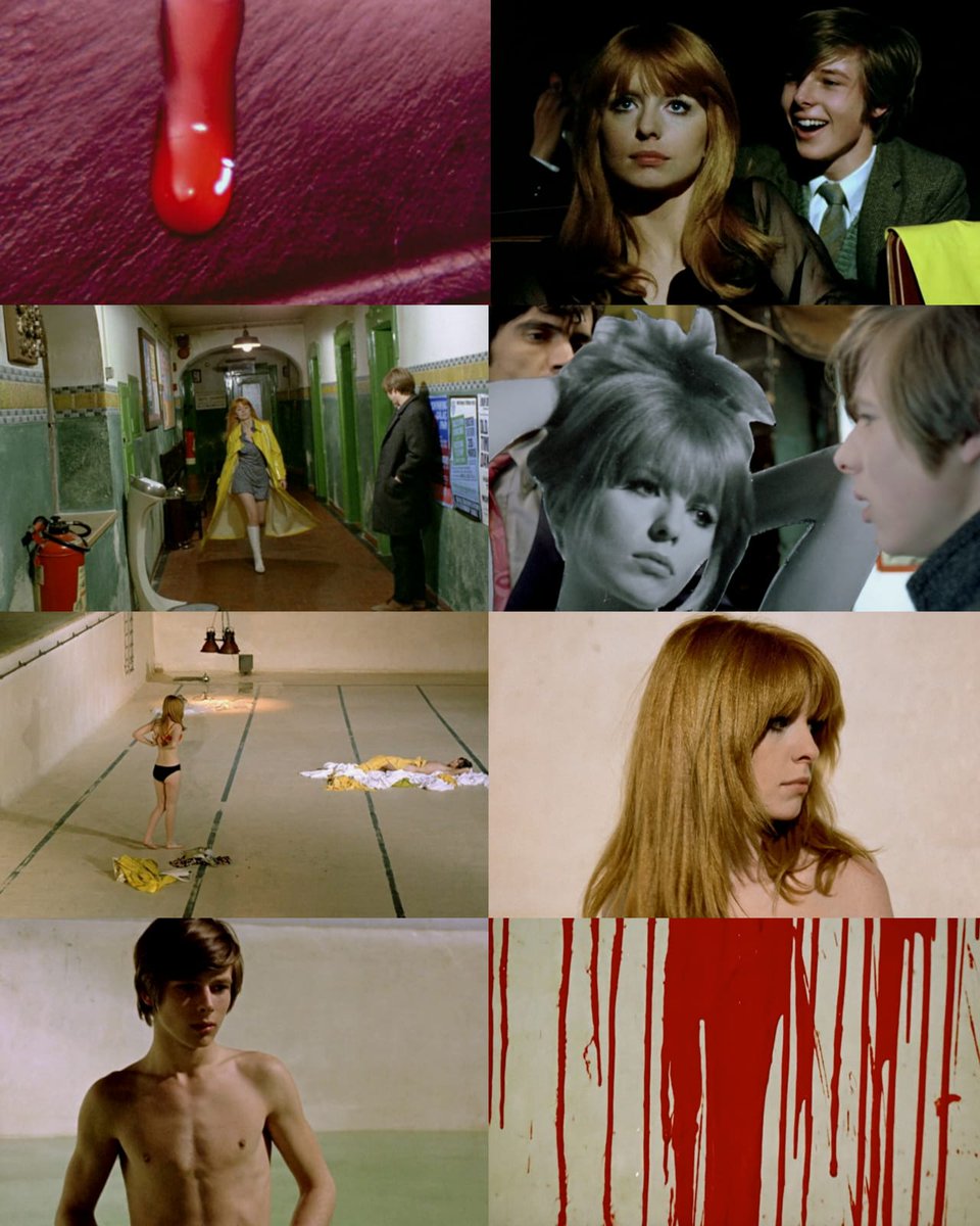 CINEMA 505 tweet media