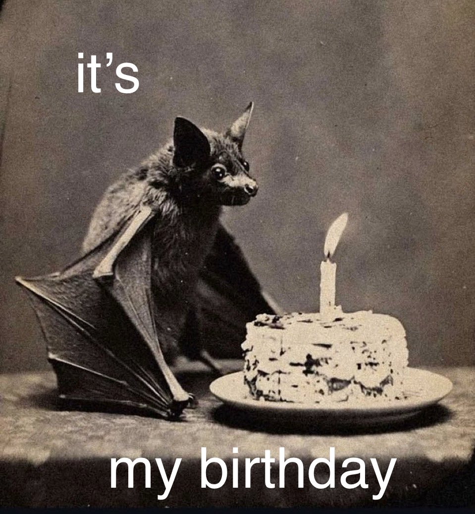 erin ⋆˚࿔ tweet media