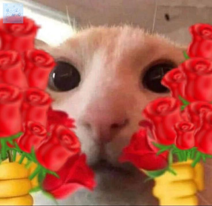 💭 baseconvo tweet media