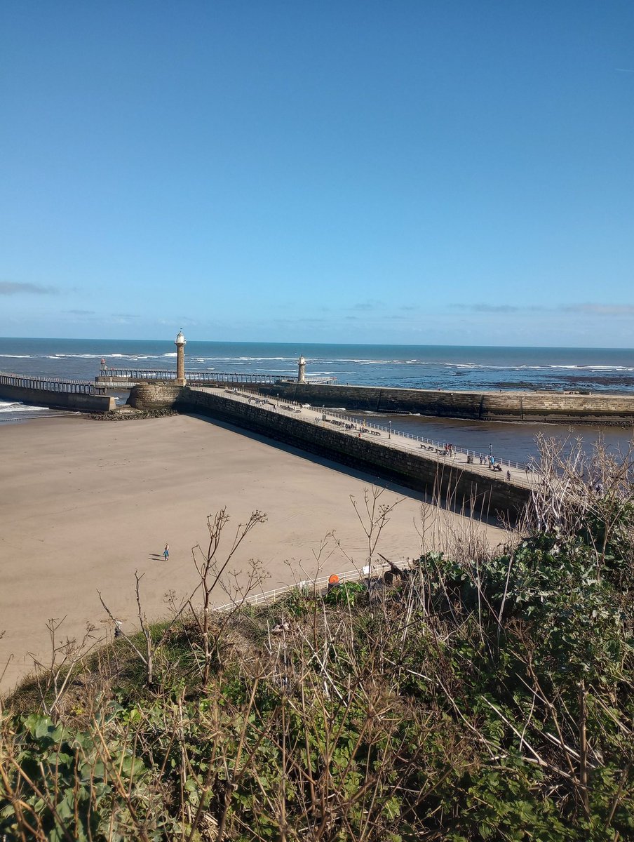 Janet Edgeller tweet media