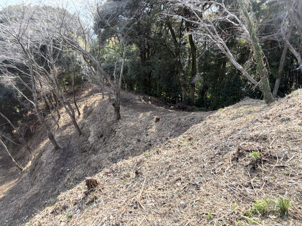 ガンビー（銃蜂） tweet media