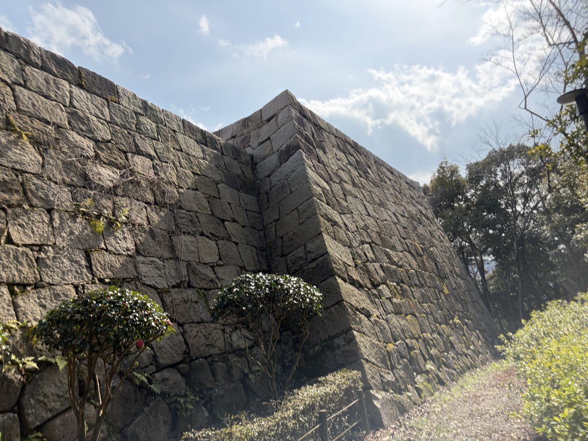 ガンビー（銃蜂） tweet media