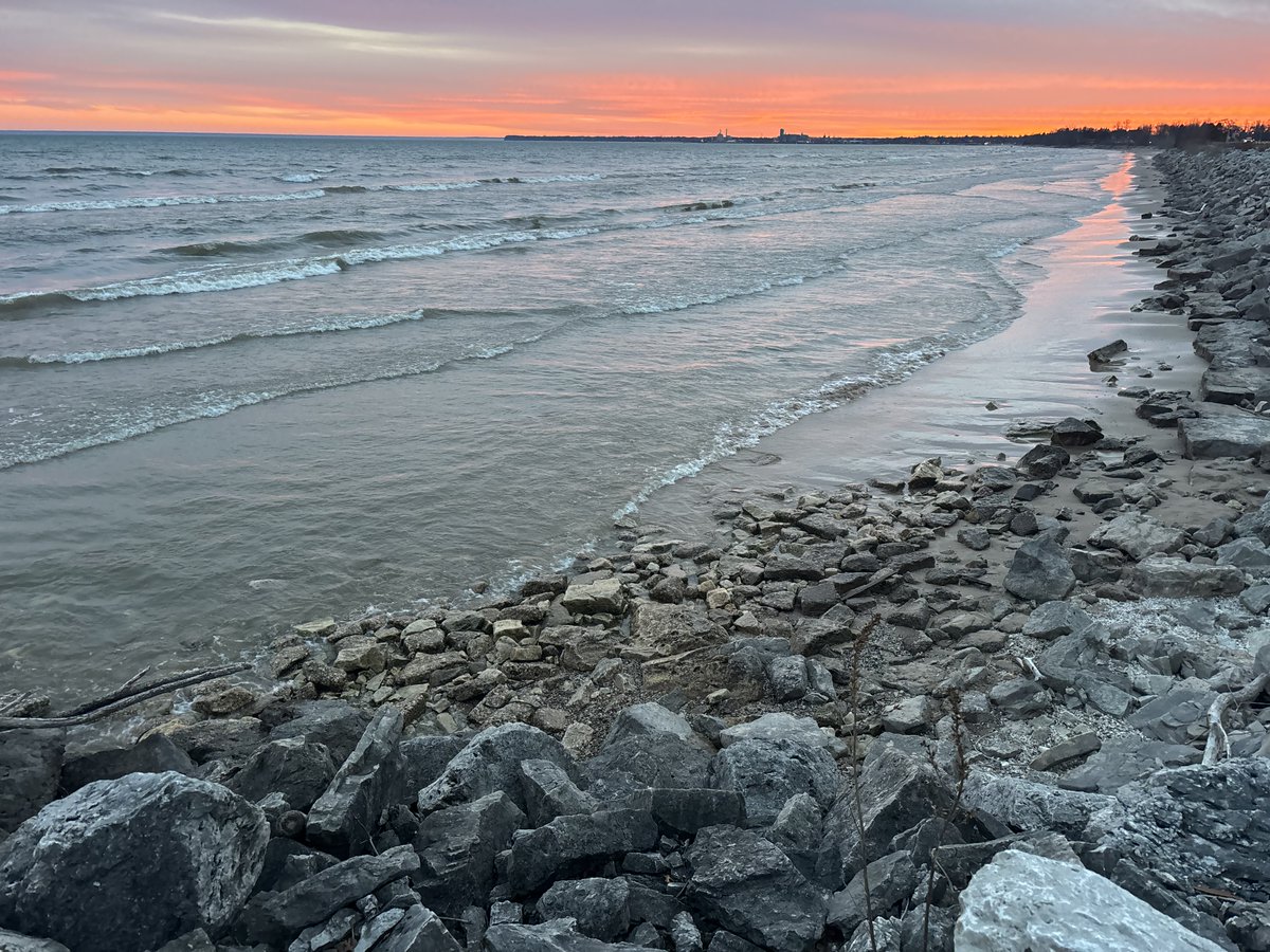 Shiphead Shawn tweet media