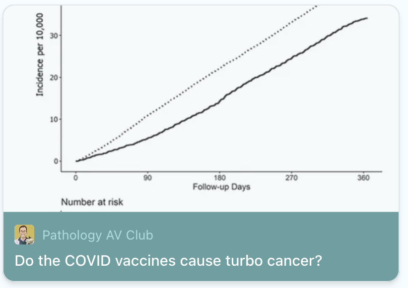Benjamin Mazer tweet media