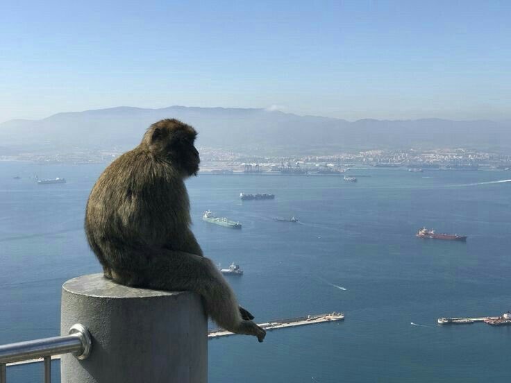 la paz que buscas está en dejar morir en silencio todo lo que sabes que no va a cambiar