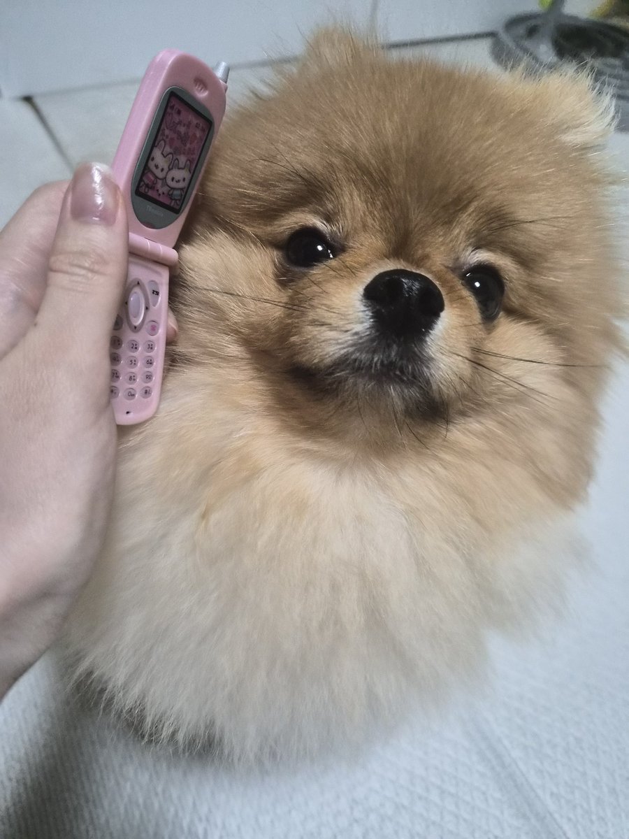 양개이cctv tweet media