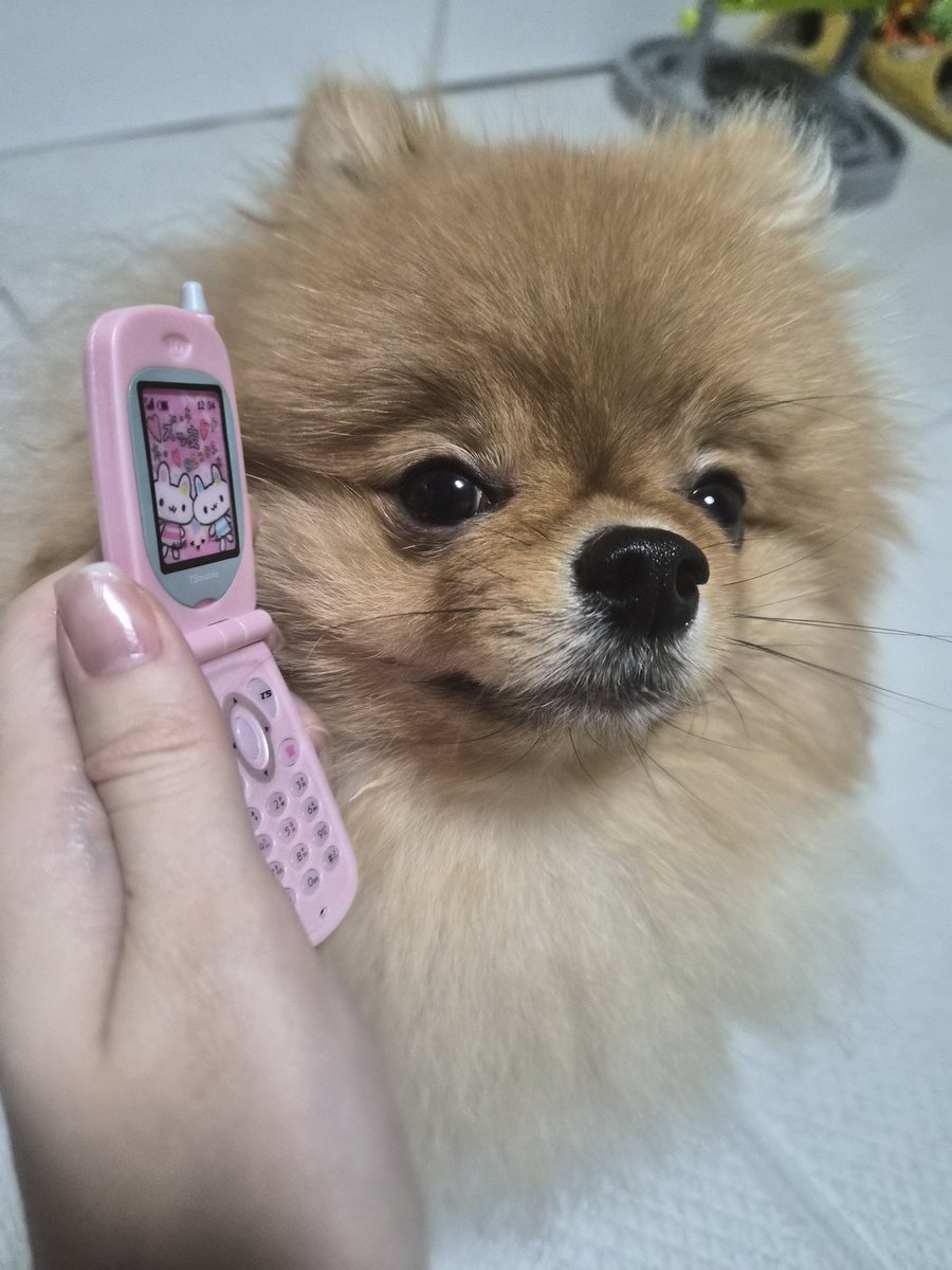 양개이cctv tweet media