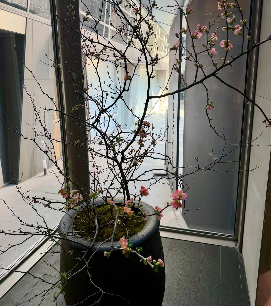rapmonvirgo's tweet photo. ARMY who will come to Seoul for BTS comeback and Goyang concert, you may visit RM #namjooning spots:

1. 
🗓️~ 31 July 2026
🖼️ Exhibition of "Beauty in Spring. Blossoms Upon Silk"
📍 Horim Museum

https://t.co/dVF73CSeg3 https://t.co/o0vsxaHApF