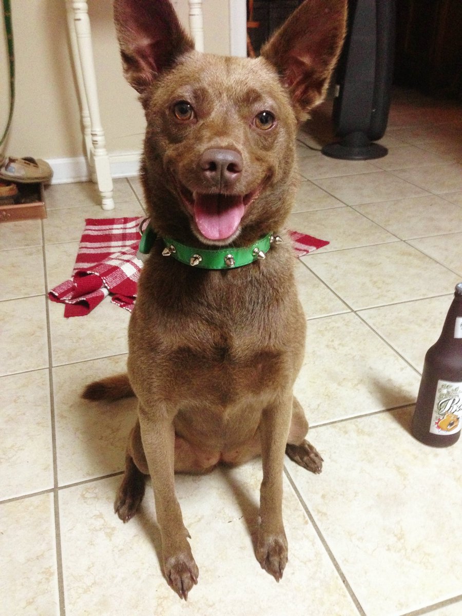 Chef_Matt tweet media