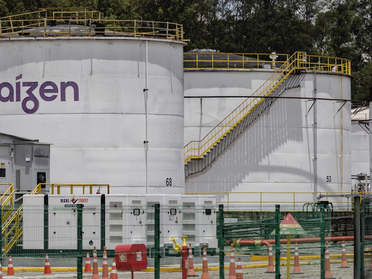 Camarote da República tweet media