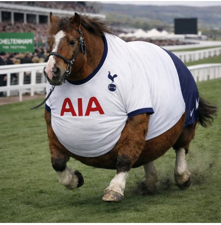 Caroline Dovaston tweet media