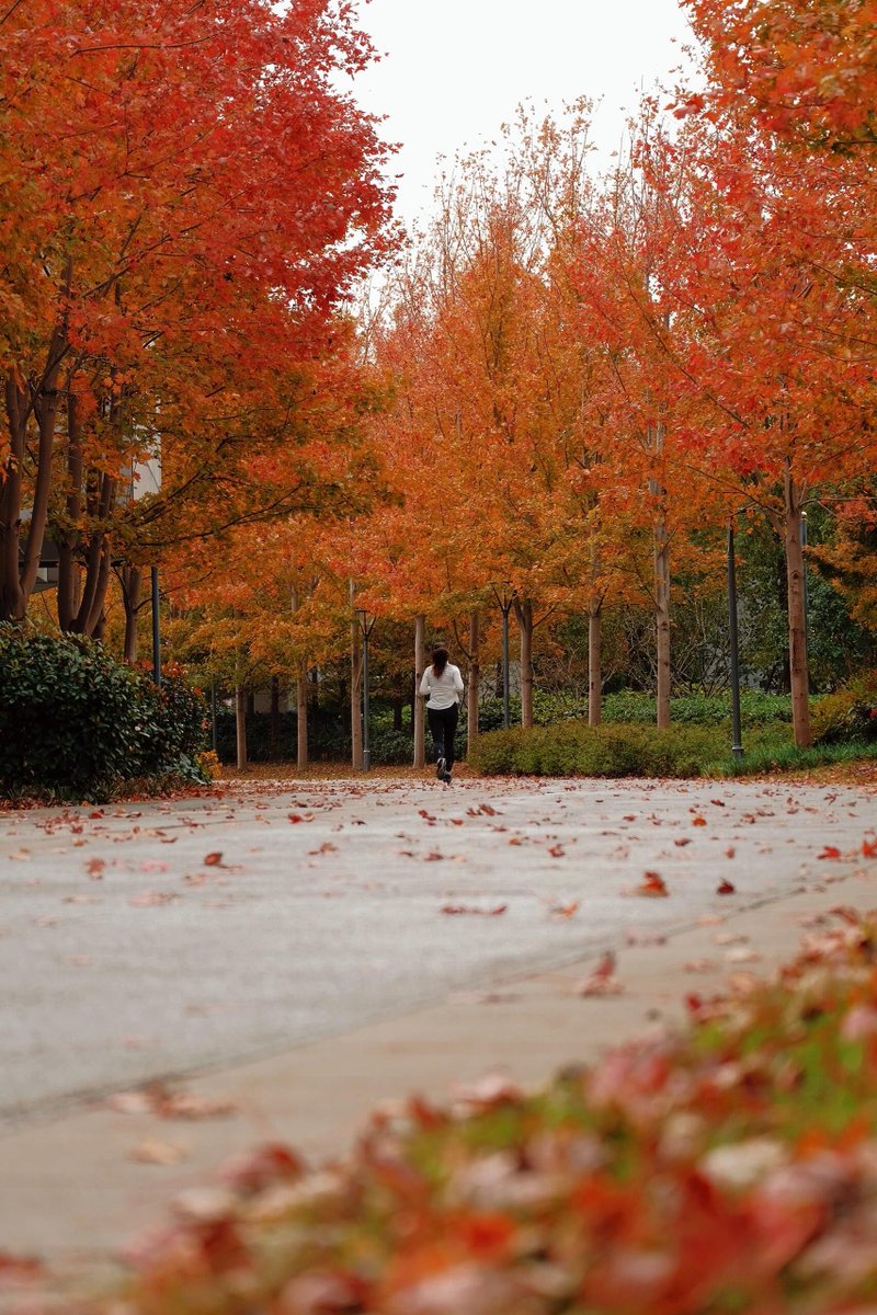 ameera shahira tweet media