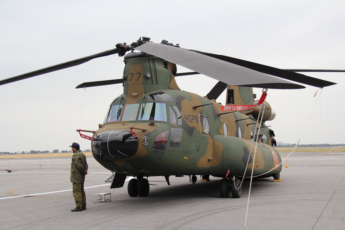 袖ケ浦ふれあいどうぶつ縁 tweet media