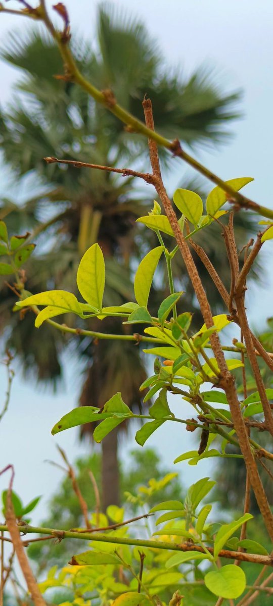 smoothgallery's tweet image. Elite wallpaper only📌

#4k
#4KUltraHD
#4kwallpapers