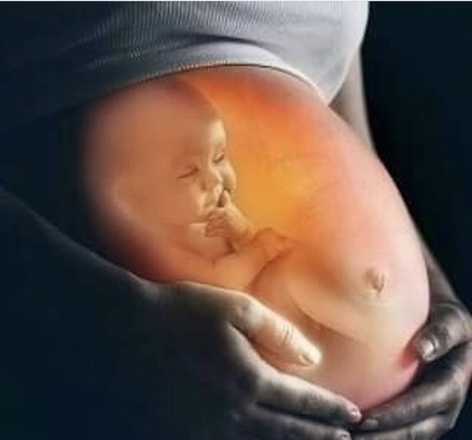 RodolfoAdrin5's tweet photo. @GabrielBoric Lamento que ud. teniendo una hija en sus brazos,  no haya defendido la vida de los nonatos y sus madres. Impulso  el aborto libre, que es un  crimen  abominable de lesa humanidad,   DD.HH básico,  como es el derecho a Nacer. https://t.co/sf1hND6e3h