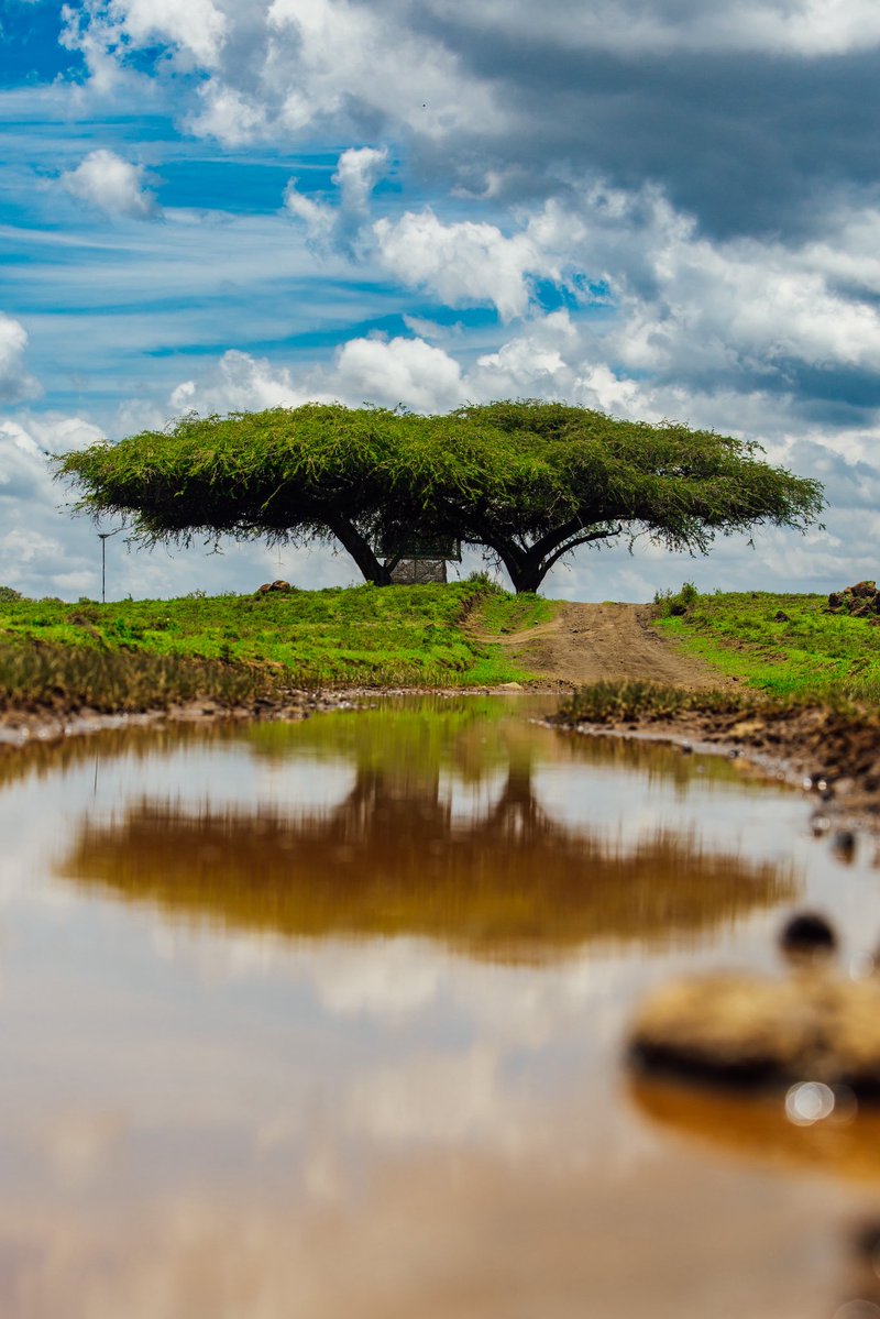 Sébastien Ogier tweet media