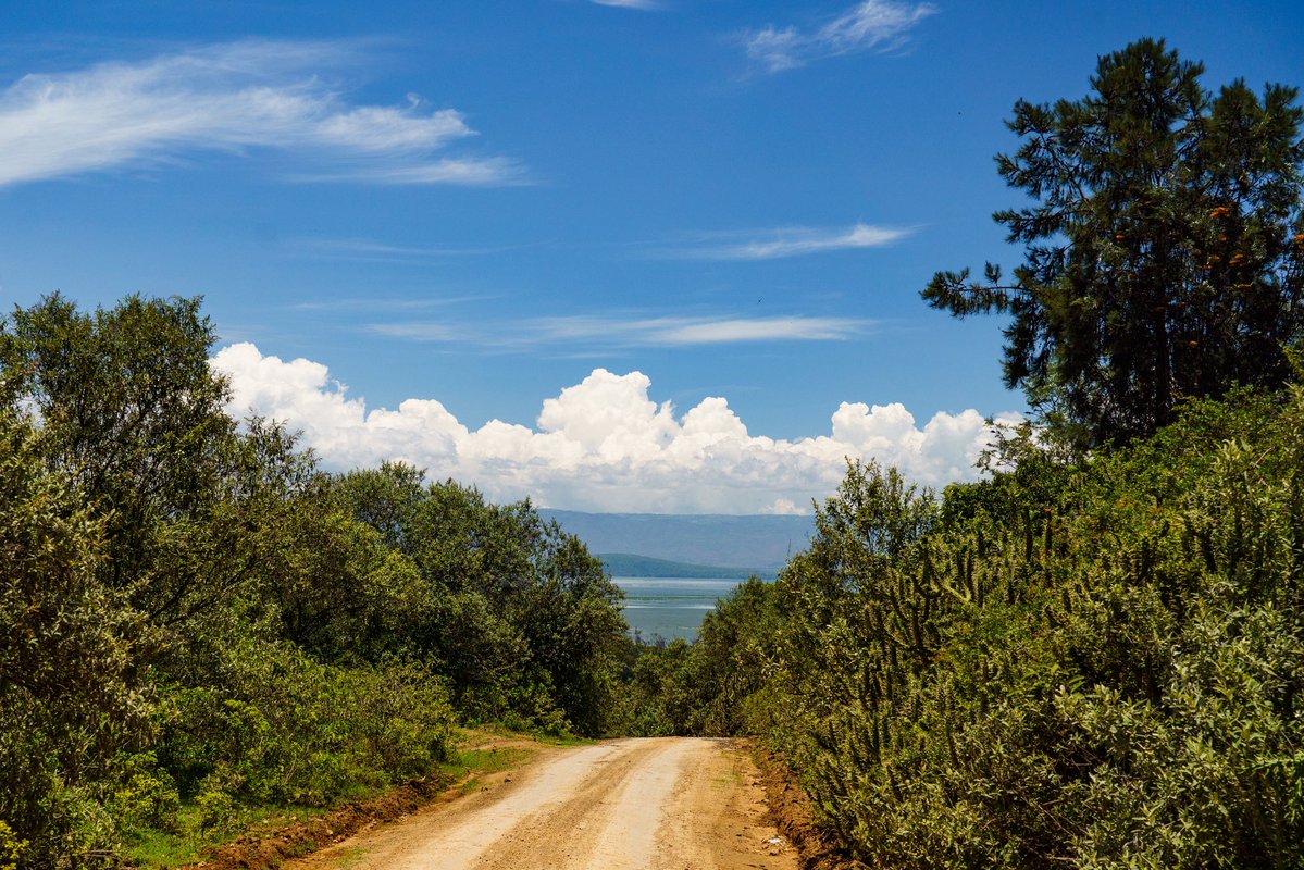 Sébastien Ogier tweet media