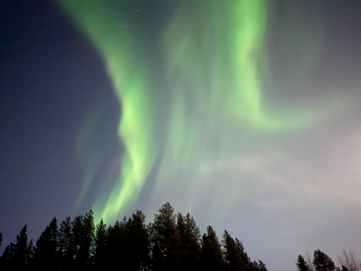 🇸🇯🇩🇰 السياحة في اسكندنافيا 🇸🇪 tweet media