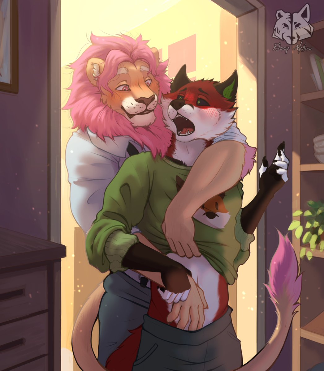 Floop Mellow 🐺🐯 tweet media