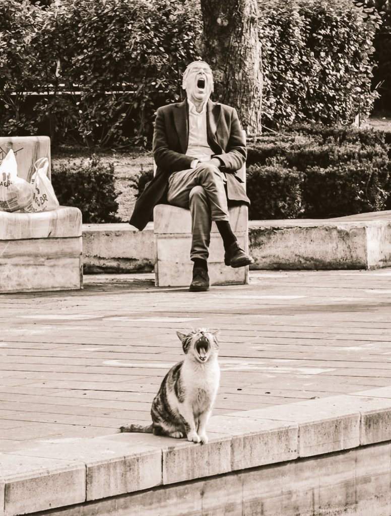 "No siempre quien sonríe es feliz. Existen lágrimas en el corazón que no llegan a los ojos".

              - JANE AUSTEN